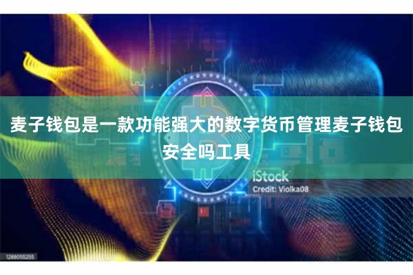 麦子钱包是一款功能强大的数字货币管理麦子钱包安全吗工具