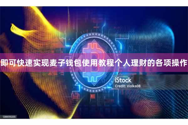 即可快速实现麦子钱包使用教程个人理财的各项操作