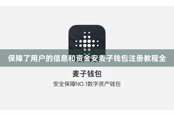 保障了用户的信息和资金安麦子钱包注册教程全