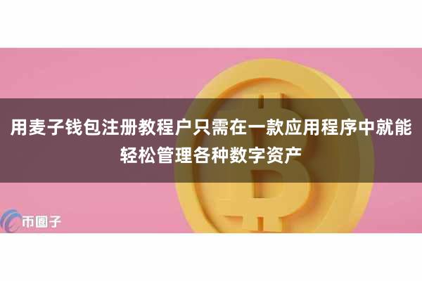 用麦子钱包注册教程户只需在一款应用程序中就能轻松管理各种数字资产