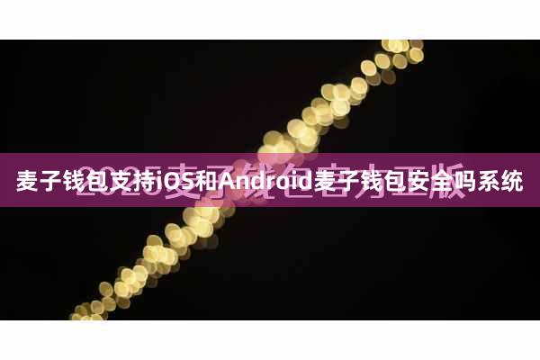 麦子钱包支持iOS和Android麦子钱包安全吗系统