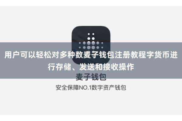 用户可以轻松对多种数麦子钱包注册教程字货币进行存储、发送和接收操作