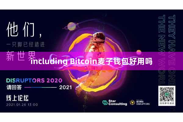 including Bitcoin麦子钱包好用吗