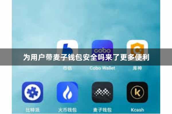 为用户带麦子钱包安全吗来了更多便利