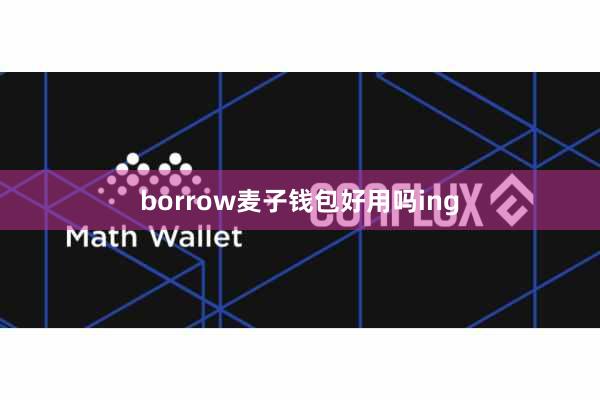 borrow麦子钱包好用吗ing