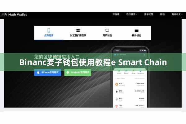 Binanc麦子钱包使用教程e Smart Chain