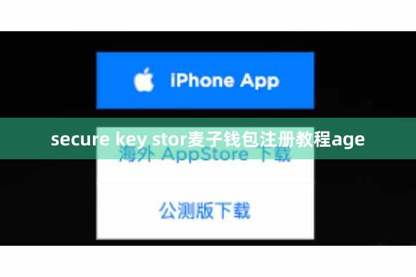 secure key stor麦子钱包注册教程age