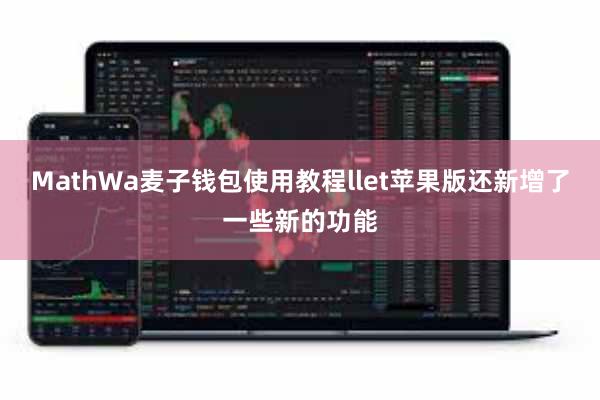 MathWa麦子钱包使用教程llet苹果版还新增了一些新的功能