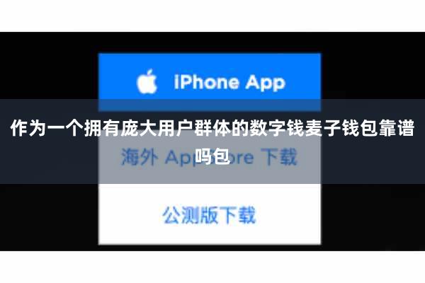作为一个拥有庞大用户群体的数字钱麦子钱包靠谱吗包