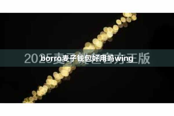 borro麦子钱包好用吗wing