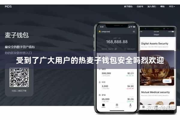 受到了广大用户的热麦子钱包安全吗烈欢迎