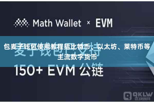 包麦子钱包使用教程括比特币、以太坊、莱特币等主流数字货币