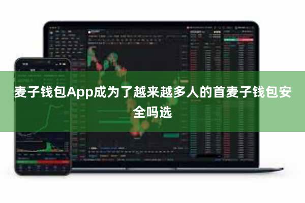麦子钱包App成为了越来越多人的首麦子钱包安全吗选