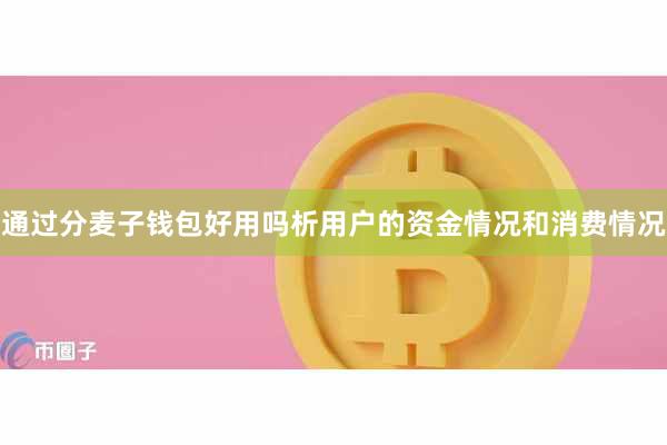 通过分麦子钱包好用吗析用户的资金情况和消费情况