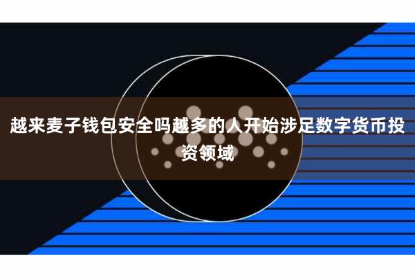 越来麦子钱包安全吗越多的人开始涉足数字货币投资领域