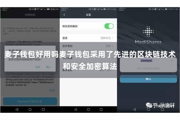 麦子钱包好用吗麦子钱包采用了先进的区块链技术和安全加密算法