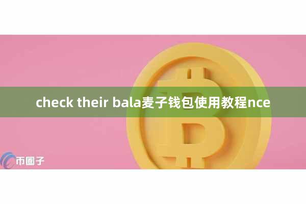 check their bala麦子钱包使用教程nce