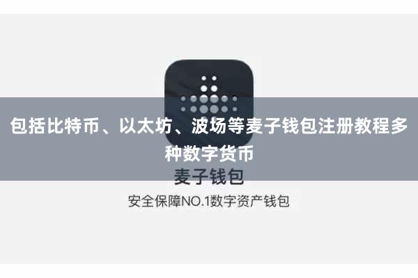 包括比特币、以太坊、波场等麦子钱包注册教程多种数字货币