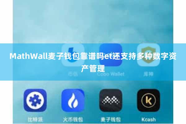 MathWall麦子钱包靠谱吗et还支持多种数字资产管理