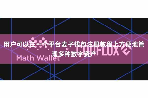 用户可以在一个平台麦子钱包注册教程上方便地管理多种数字资产
